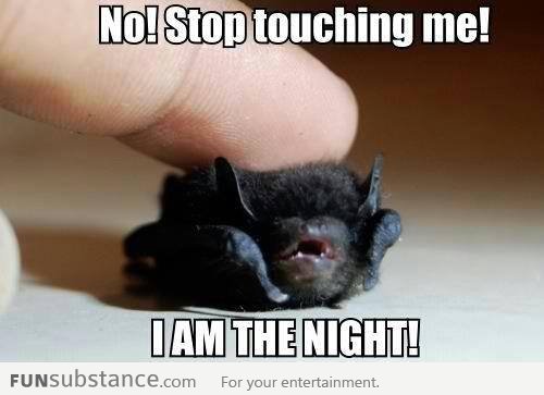 I AM THE NIGHT!!!
