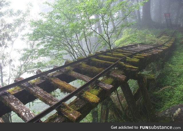 Abandoned Rail Bridge in Taiwan