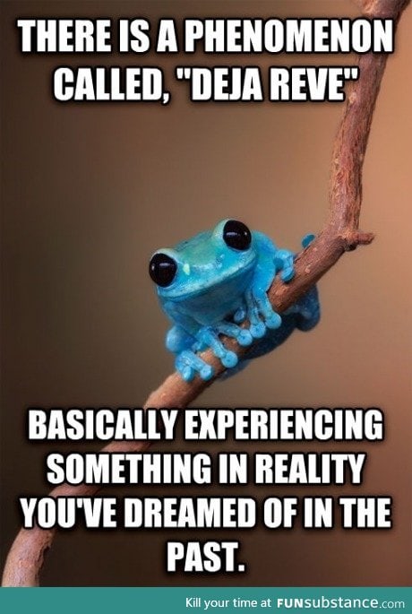 fun fact frog