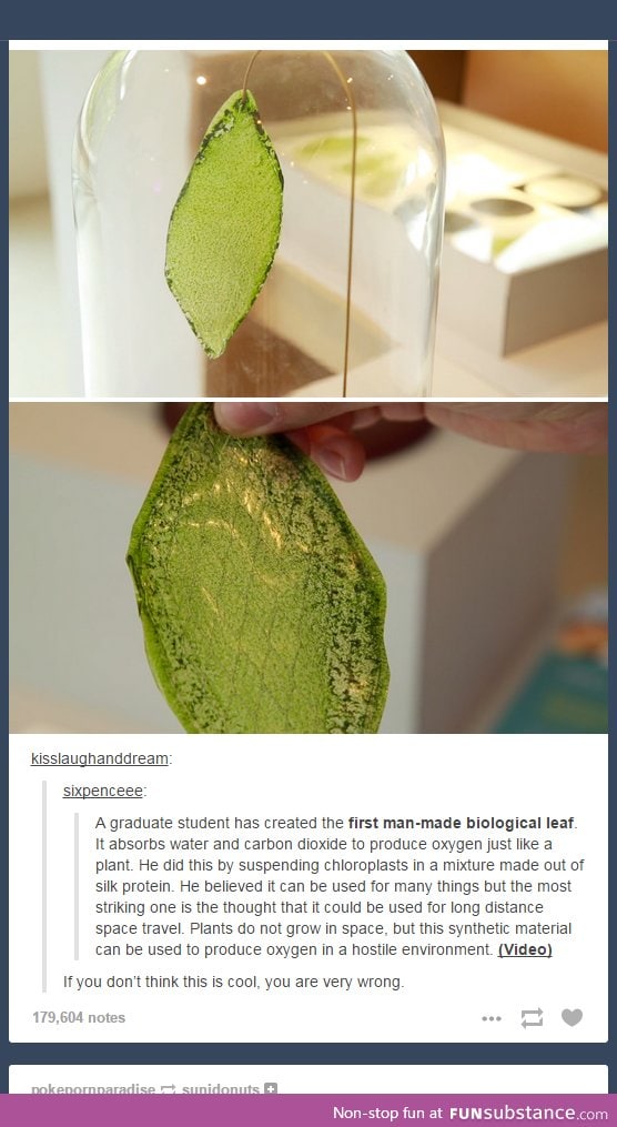 First Ever Man Made Leaf