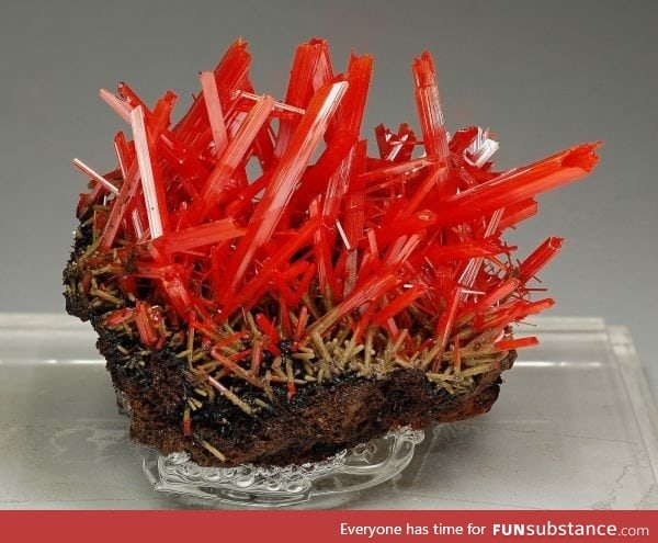 The most aggressive looking mineral I've ever seen-Crocoite