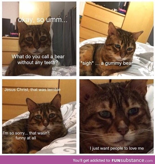 World's saddest cat tells a joke