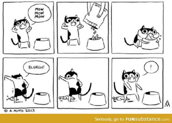 Life of Cat: Food