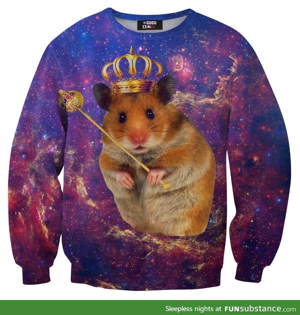 Googled "hamster in a sweater".was no t dissapointed