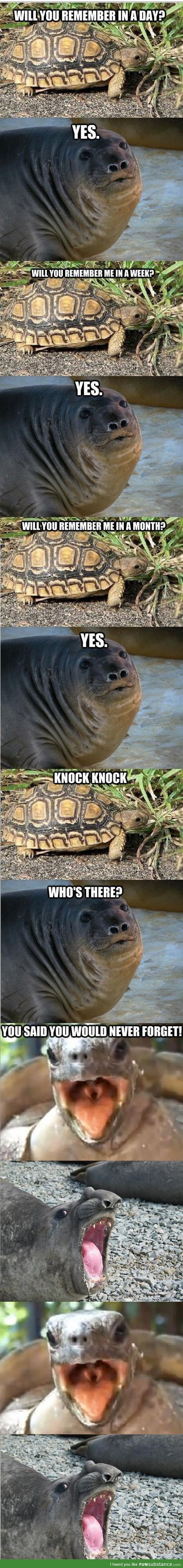 It was just a joke Turtle!!