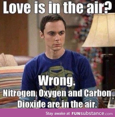 Love Is In The Air!?