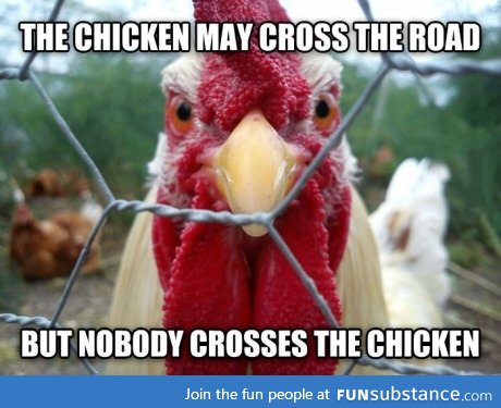 bad-ass chicken