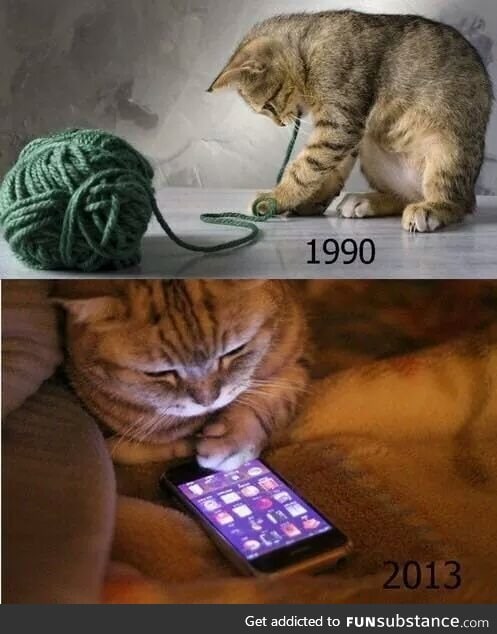 Only 90's cats will understand