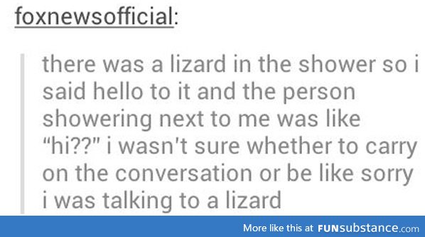 Hello Lizard