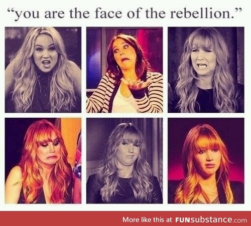 The many faces of the rebellion