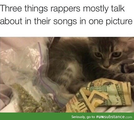 What almost every rap song is about