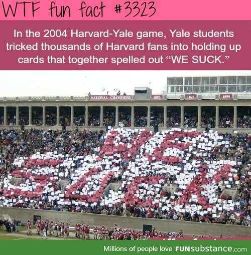 Harvard or Yale?