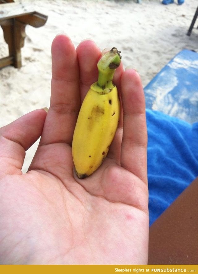 The reason to why I don't trust 'banana for scale'