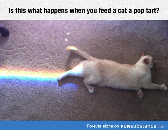 How to get your own nyan cat