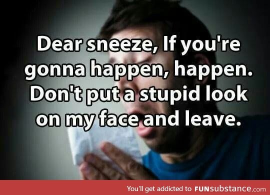 Letter to my sneeze