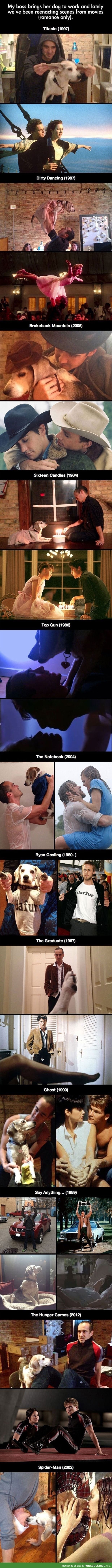 Re-enacting movies with a dog