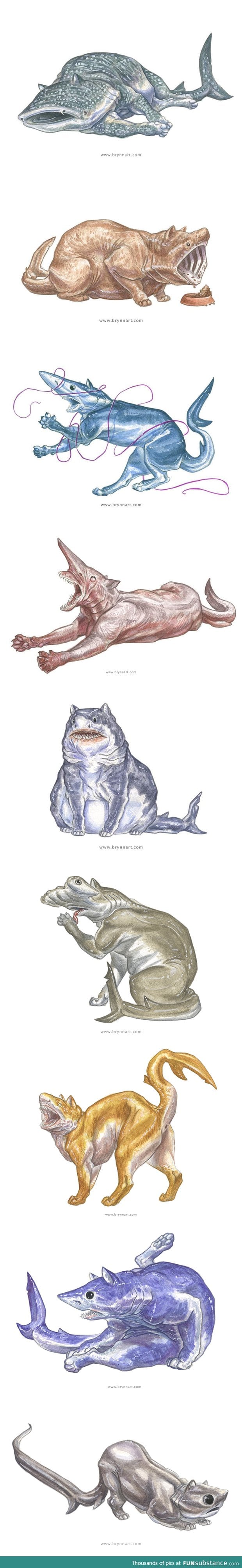 Cat shark mutants