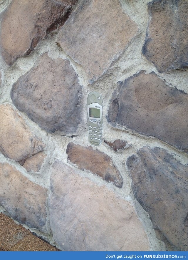 Here we have the elusive Nokia in its natural habitat