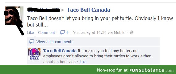 Taco bell's policy on turtles