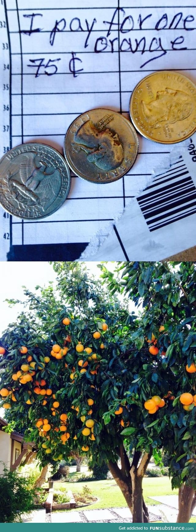UPS Guy left 75 cents after picking an orange from the front yard