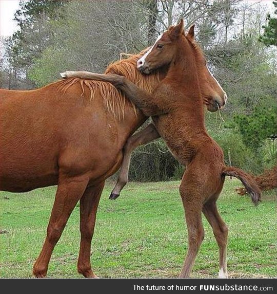 A big hug for mommy