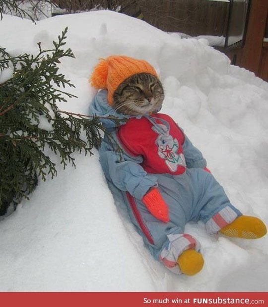 This cat is definitely enjoying winter