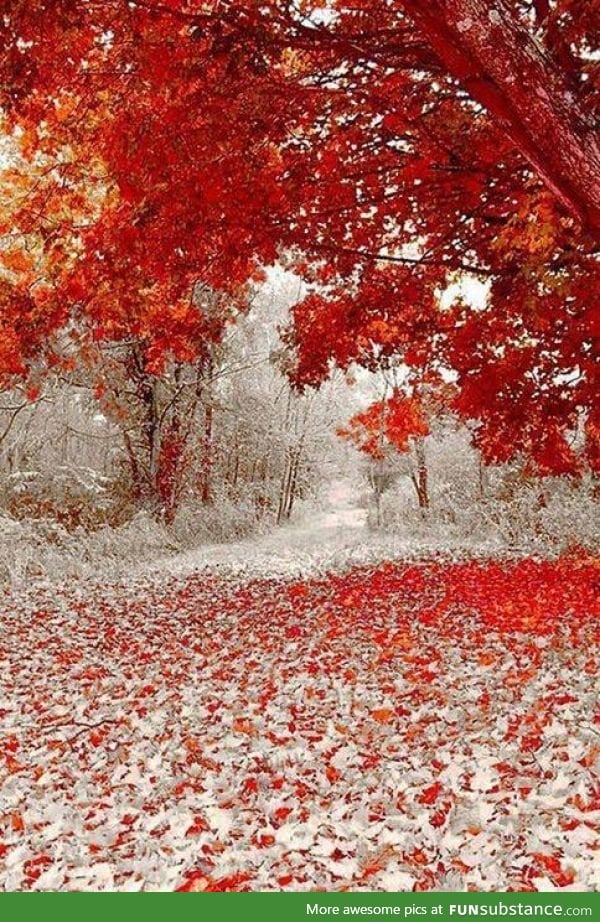 First snowfall in duluth, minnesota