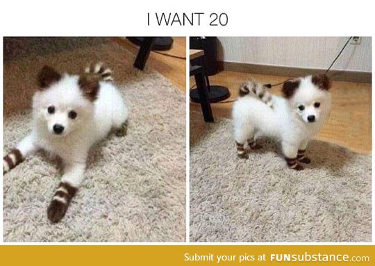 This dog looks like a pokemon