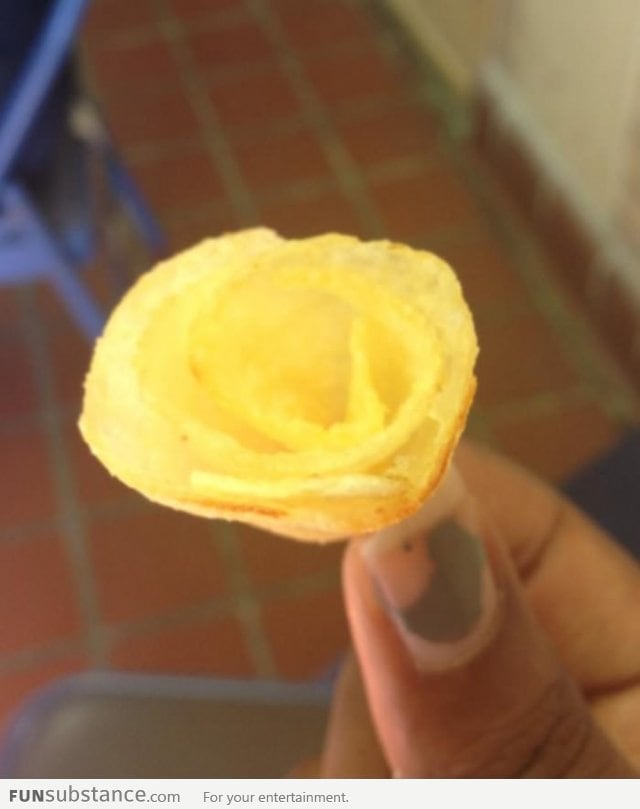 Found this "rose" in a bag of Lay's potato chips