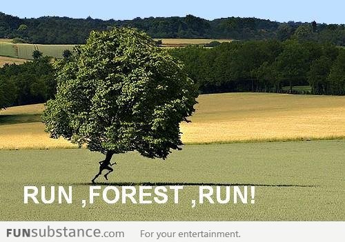 Run forest, run!