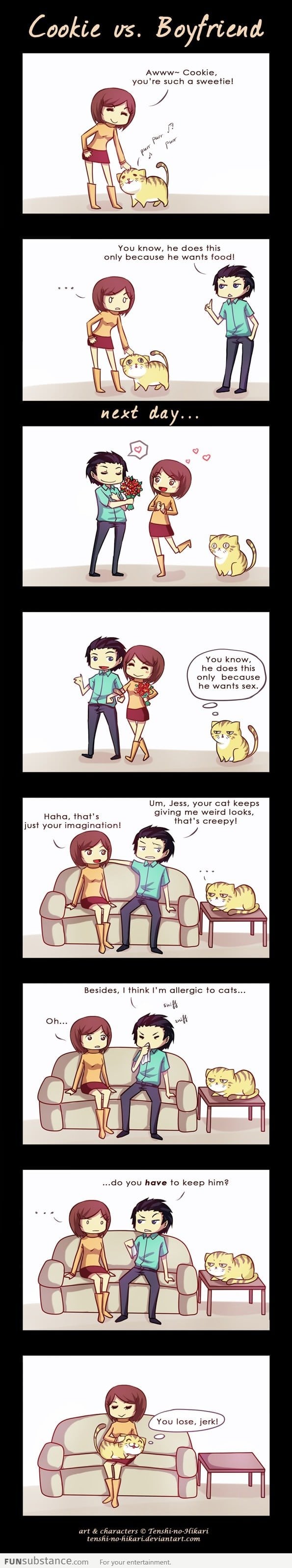 Cat vs Boyfriend