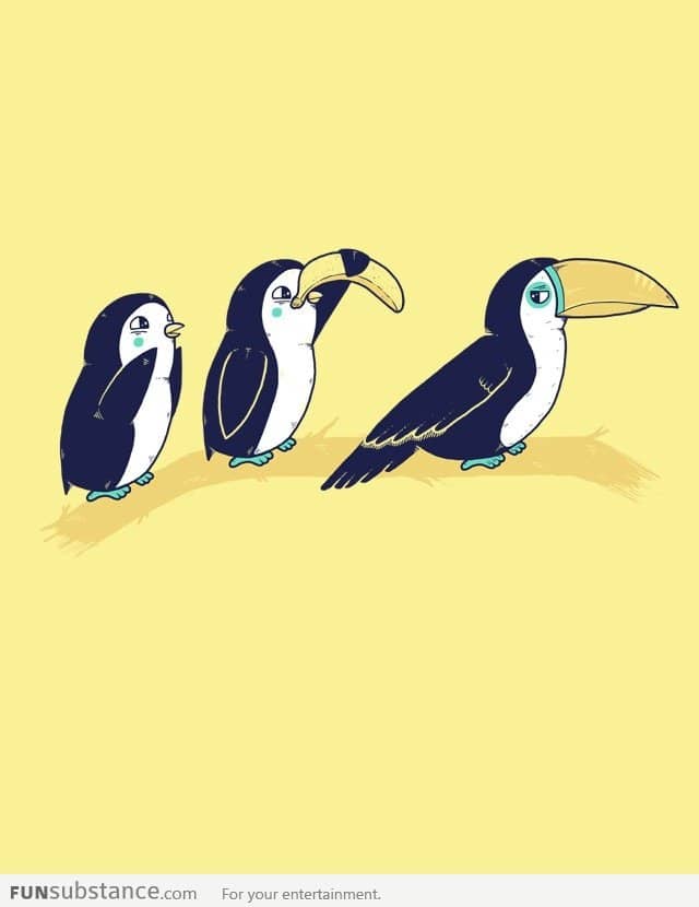 Penguins and Toucan