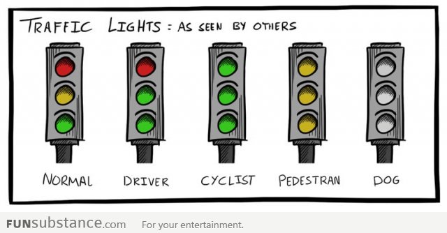 How different people see traffic lights