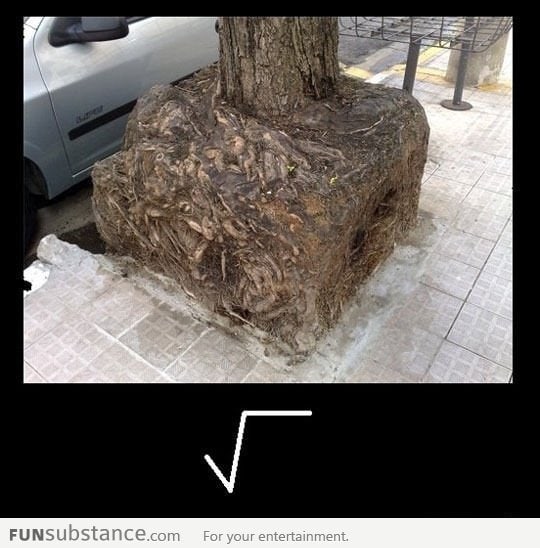 Square Root