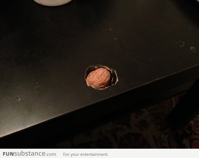 Tried to crack a nut on my coffee table