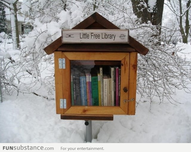I wish I had this Little Free Library in my city