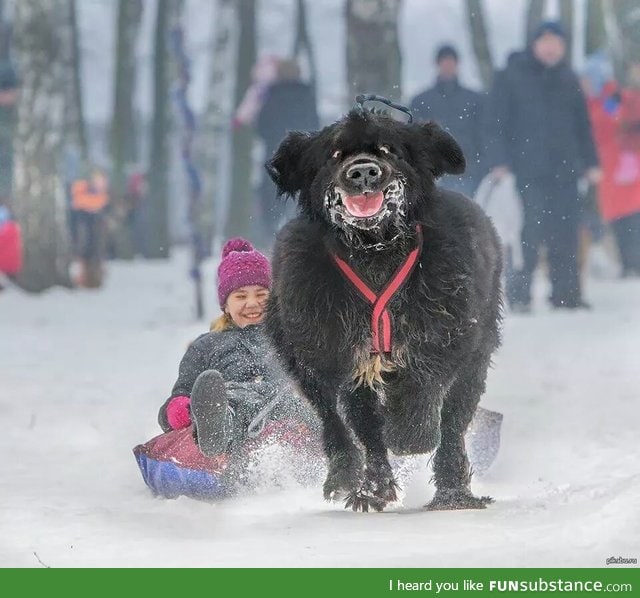 These two look like they are having fun