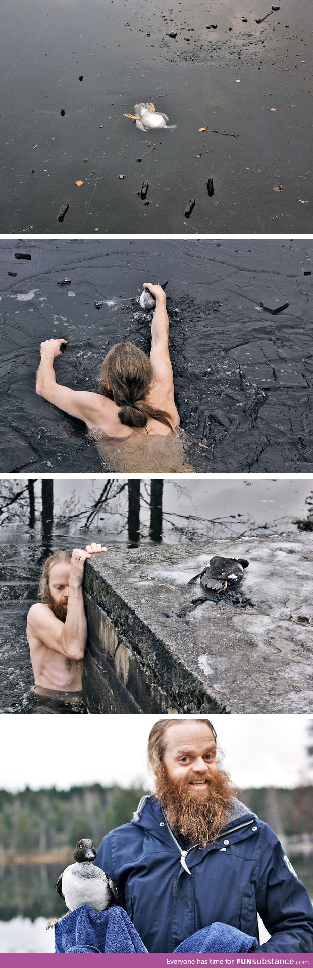Norwegian man saving a duck