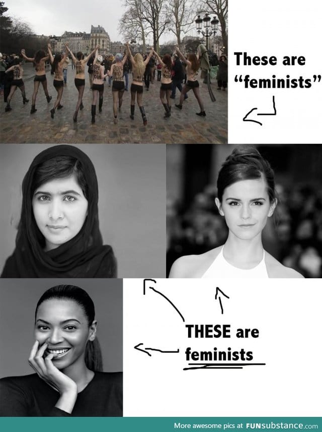 Feminists and Femanazis