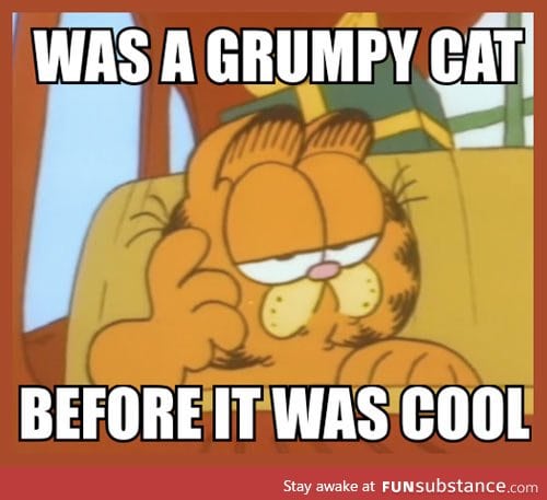 The original Grumpy Cat