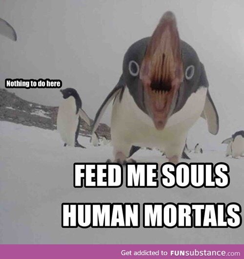 Don't feed the demon penguin