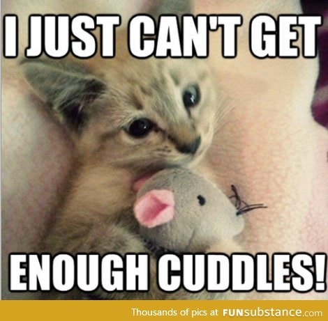 Cuddles! <3