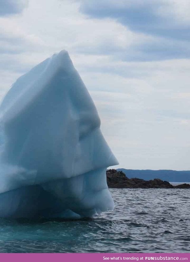 This iceberg's parents melted. Now he fights global warming