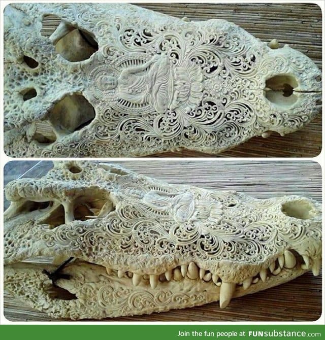 Carved skull of an alligator