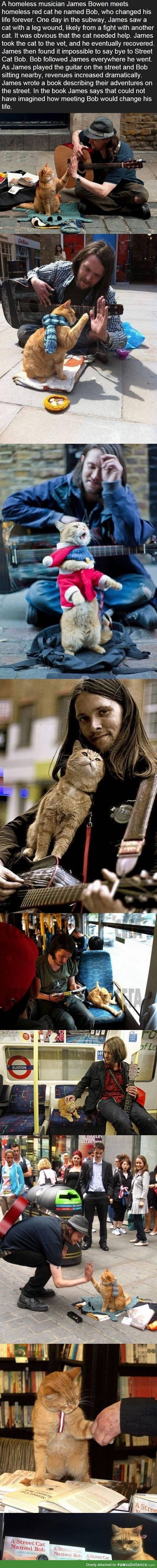 Homeless Musician and his Cat