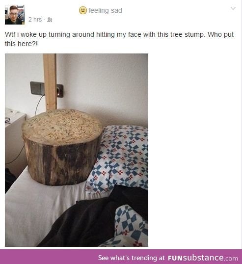 A severe case of morning wood