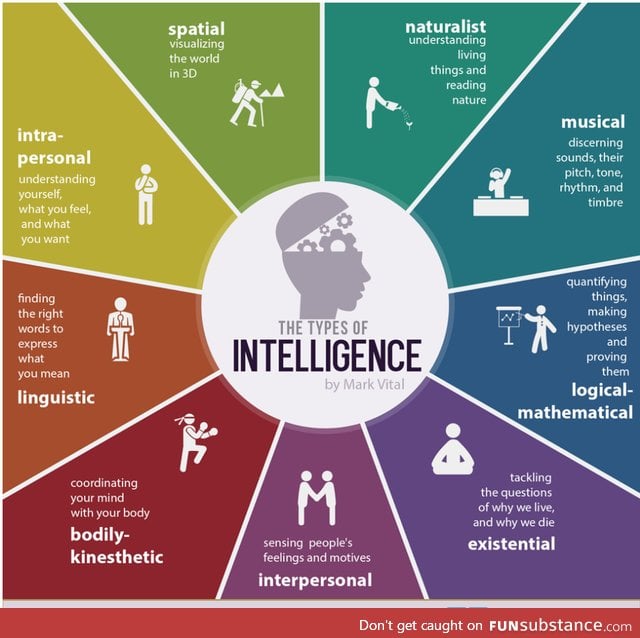 The 9 types of intelligence