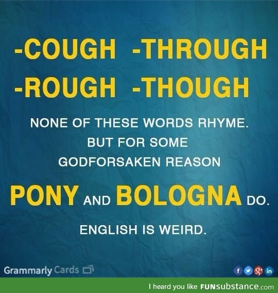 Pony and Bologna