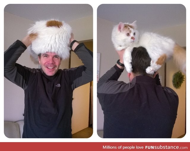 Cat hat