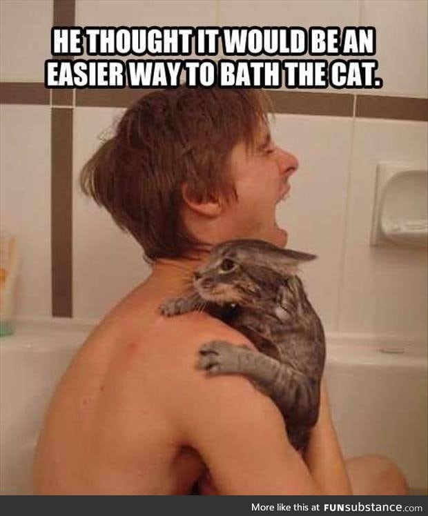 How not to bathe the cat
